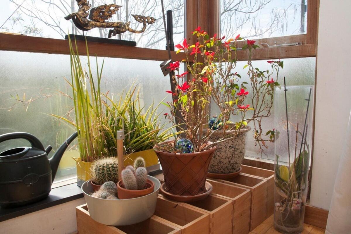 ※ Relaxing Home- Parking & Gorgeous Gardens Bath Dış mekan fotoğraf